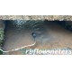 Remote Doppler Open Channel Ultrasonic Flowmeter